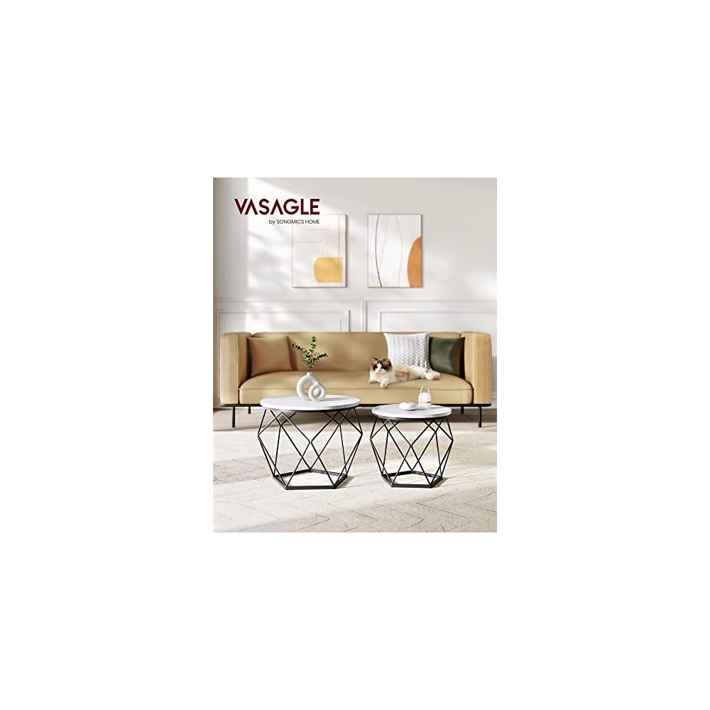 VASAGLE Small Round Coffee Table Set of 2, with Steel Frame